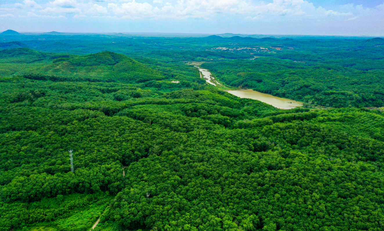 0ea9a79f71944812bdda03833ba4e7eb