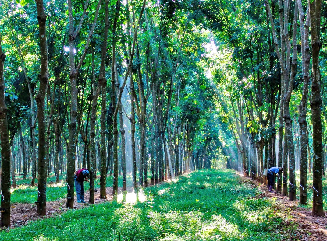 5308151bbe76422aac0abd1db203ccdc