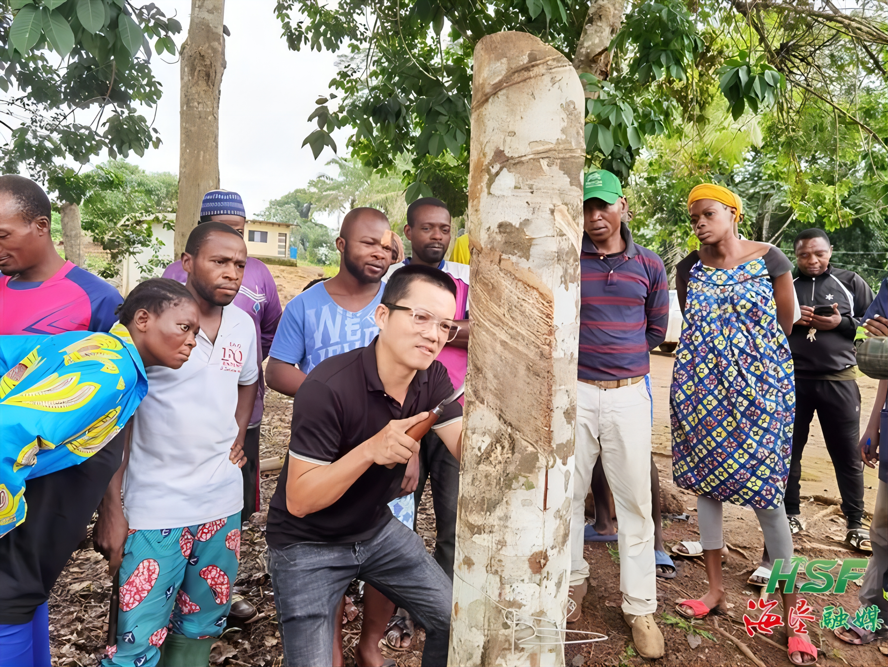 f8576c28fd3e4e05a709c73e930350e6