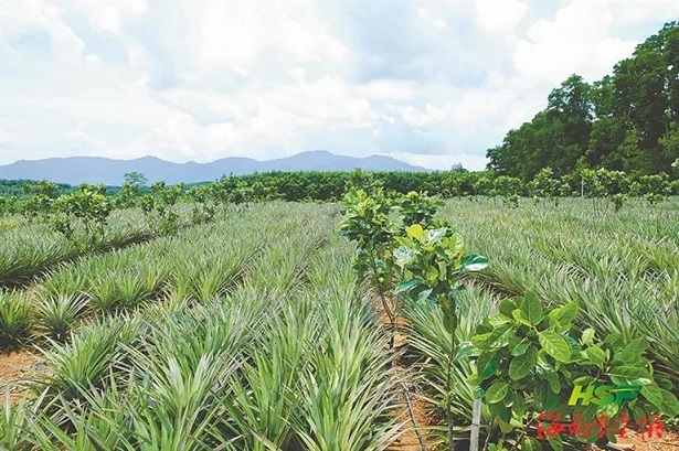 首页| 88858cc永利集团(Macau)官方网站