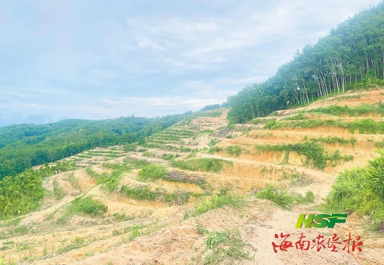 首页| 88858cc永利集团(Macau)官方网站