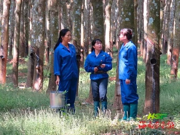 首页| 88858cc永利集团(Macau)官方网站