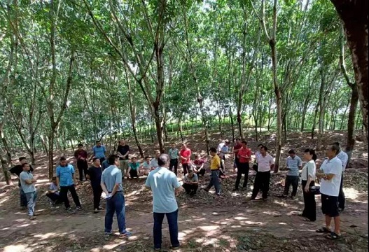 首页| 88858cc永利集团(Macau)官方网站