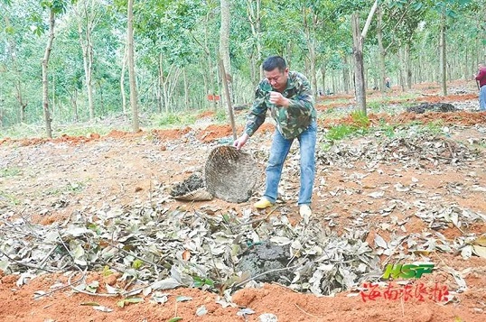 首页| 88858cc永利集团(Macau)官方网站