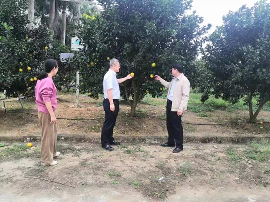 首页| 88858cc永利集团(Macau)官方网站