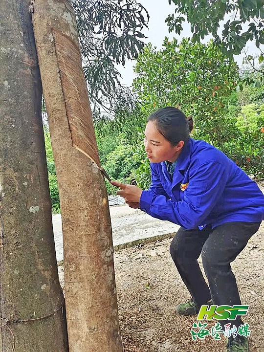 首页| 88858cc永利集团(Macau)官方网站