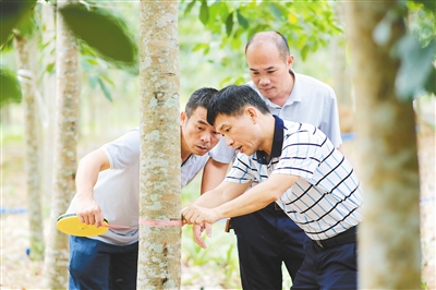 首页| 88858cc永利集团(Macau)官方网站