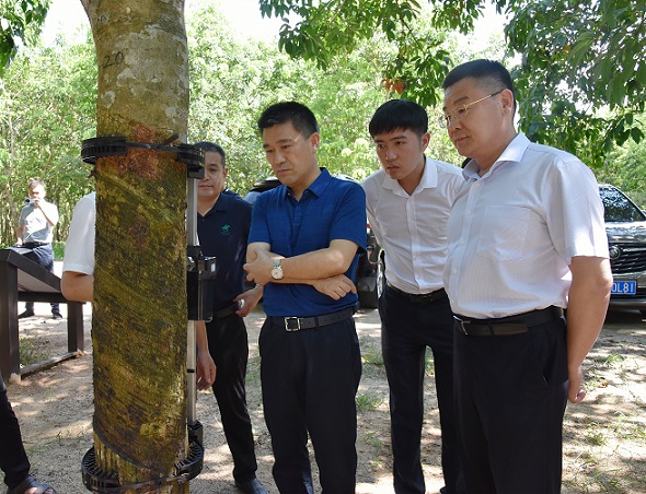 首页| 88858cc永利集团(Macau)官方网站