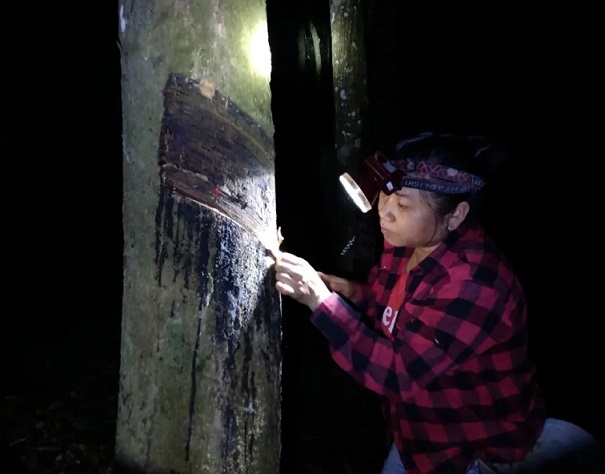 首页| 88858cc永利集团(Macau)官方网站