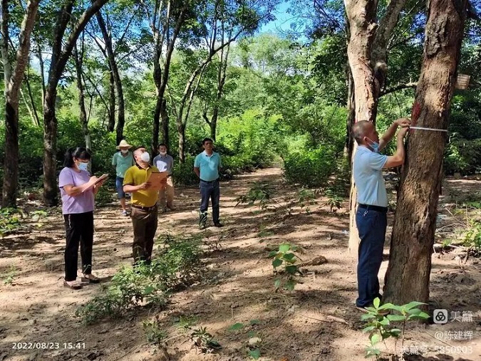 首页| 88858cc永利集团(Macau)官方网站