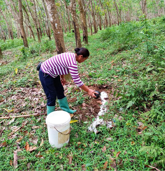 首页| 88858cc永利集团(Macau)官方网站