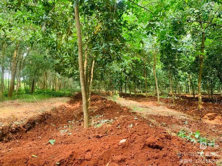 首页| 88858cc永利集团(Macau)官方网站