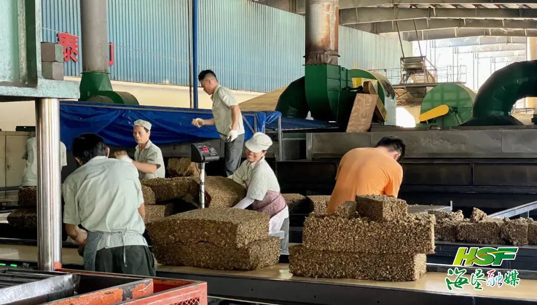 首页| 88858cc永利集团(Macau)官方网站