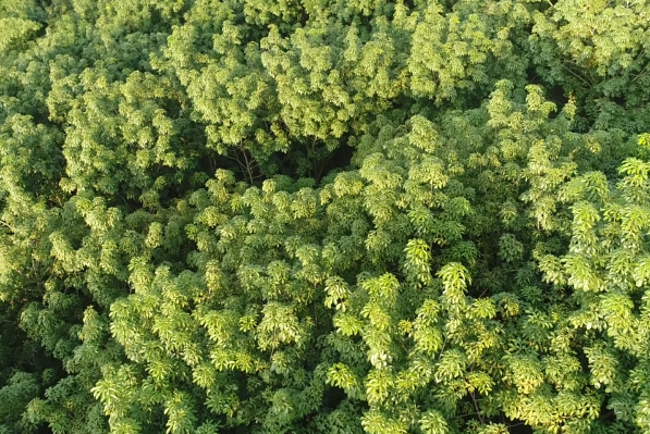 首页| 88858cc永利集团(Macau)官方网站