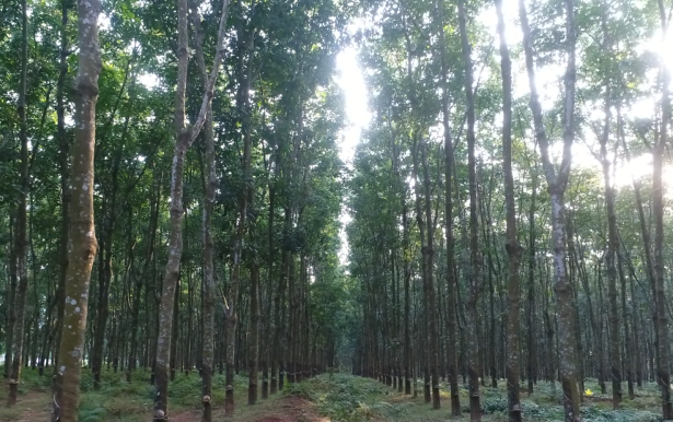 首页| 88858cc永利集团(Macau)官方网站