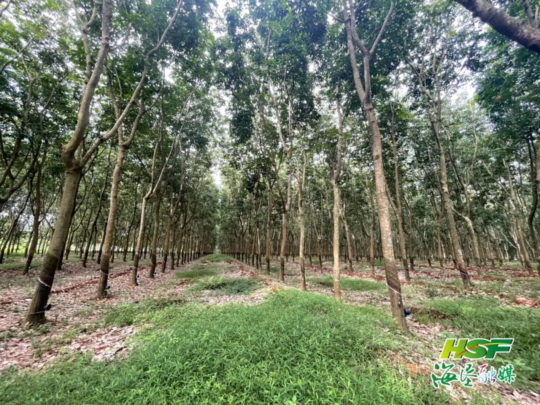 首页| 88858cc永利集团(Macau)官方网站