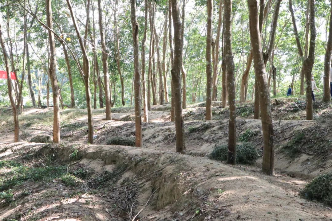 首页| 88858cc永利集团(Macau)官方网站