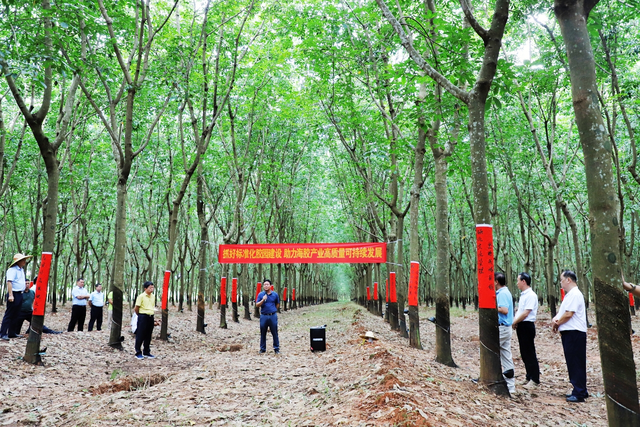 首页| 88858cc永利集团(Macau)官方网站