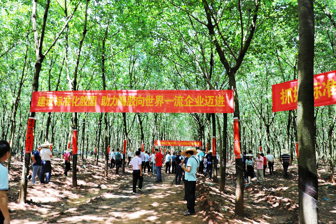 首页| 88858cc永利集团(Macau)官方网站