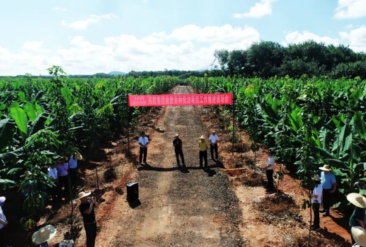 首页| 88858cc永利集团(Macau)官方网站